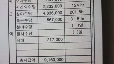 세후 900 버는 외국인.. 와.. 지린다.