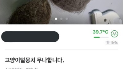 획기적인? 당근 무료 나눔...ㅋ