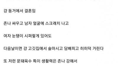 주갤문학) 문신돼지와 걸레녀는 찐사랑이 맞다