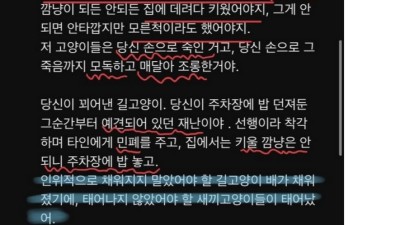 팩트로 캣맘 두드려패는 선생님 ㄷㄷ