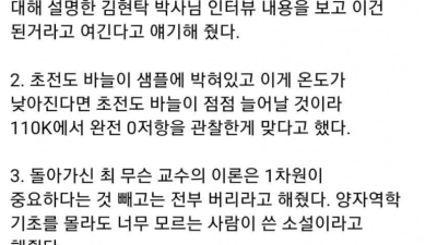 초전도체 전문가의 페이스북 의견