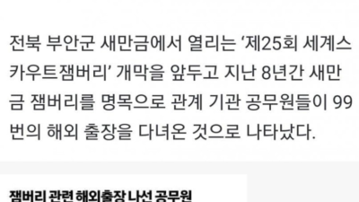 잼버리 배운다며 크루즈 즐겼다