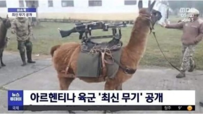 아르헨티나의 최신 무기