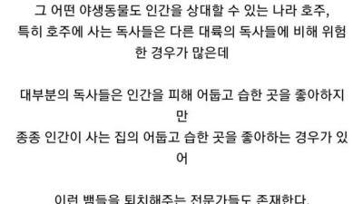 환불 가능하지만 환불률 0퍼센트인 서비스